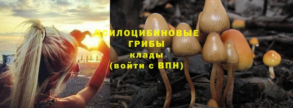 молекула духа Балахна