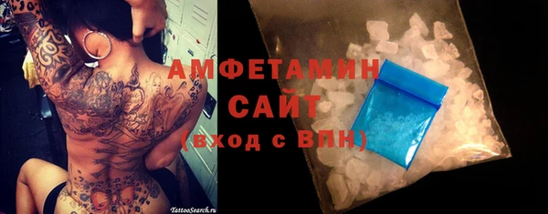 прущие грибы Заволжск