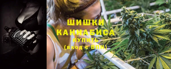 молекула духа Балахна