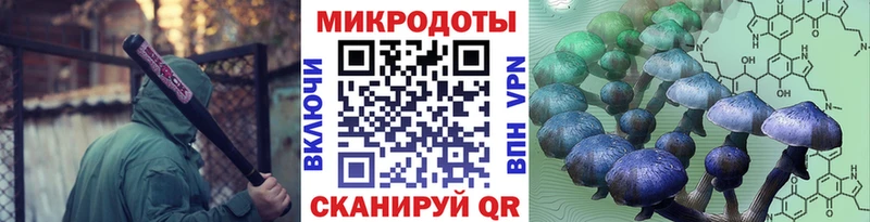 купить закладку  Белозерск  Псилоцибиновые грибы MAGIC MUSHROOMS 